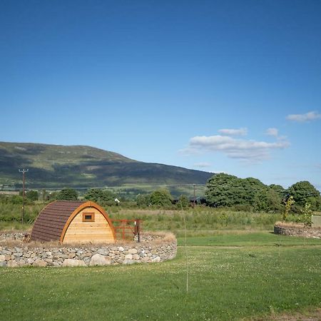 Bluebell Lane Glamping Hotel Newry Luaran gambar