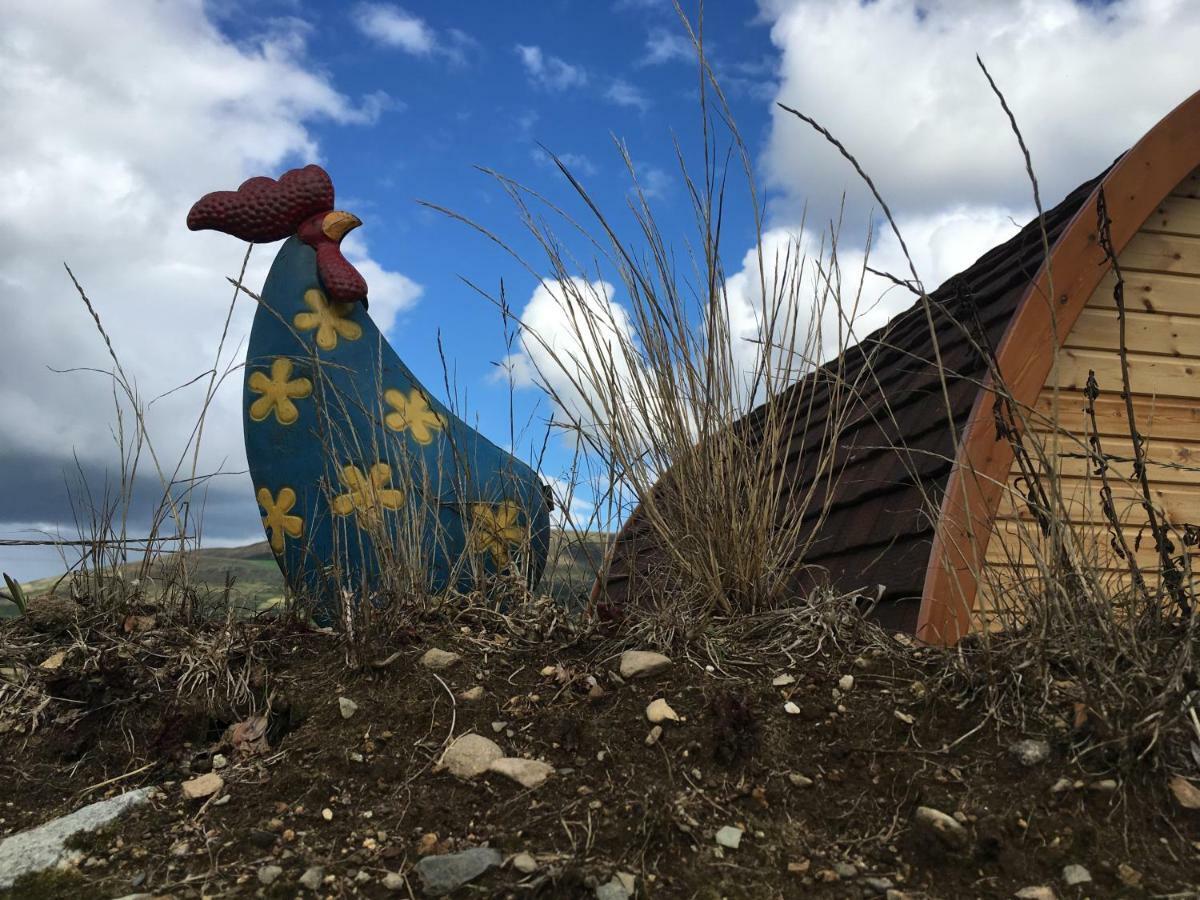 Bluebell Lane Glamping Hotel Newry Luaran gambar