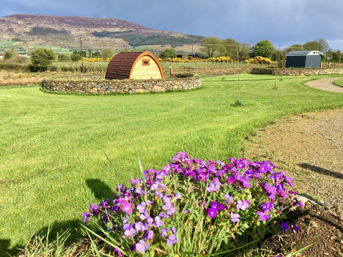 Bluebell Lane Glamping Hotel Newry Luaran gambar