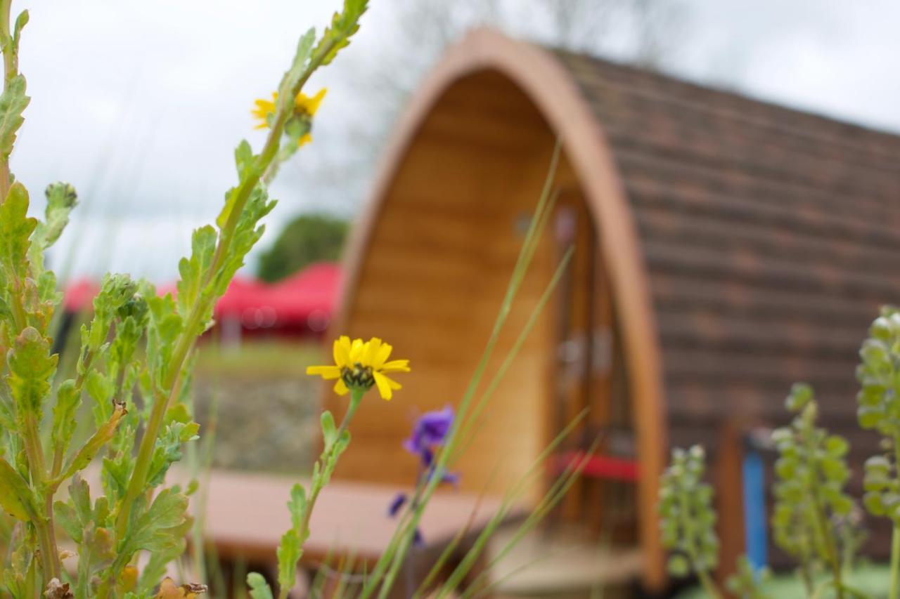 Bluebell Lane Glamping Hotel Newry Luaran gambar